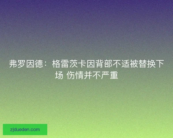 弗罗因德：格雷茨卡因背部不适被替换下场 伤情并不严重